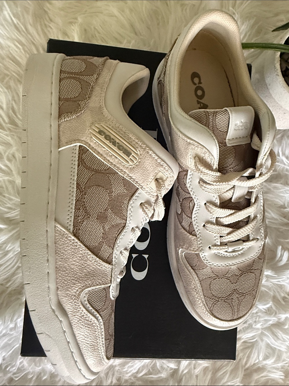 Coach Kids Logo-Print Sneakers in Beige and Cream - Picture 4 of 8